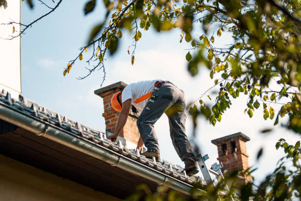 Professional Roofing Contractor in Sitka, AK