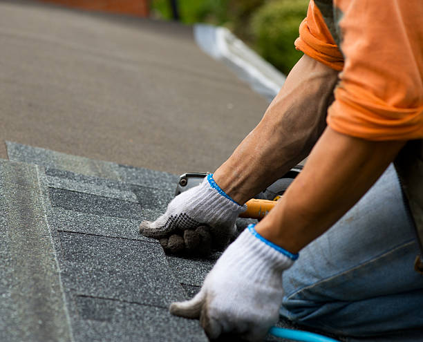 Best Roof Gutter Cleaning  in Sitka, AK